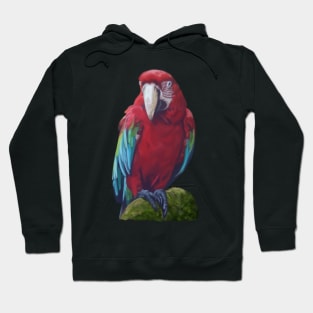 Scarlet Macaw - Digital illustration Hoodie